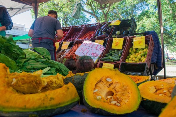 Las Ferias de la Ciudad estarán en cuatro barrios y plazas céntricas