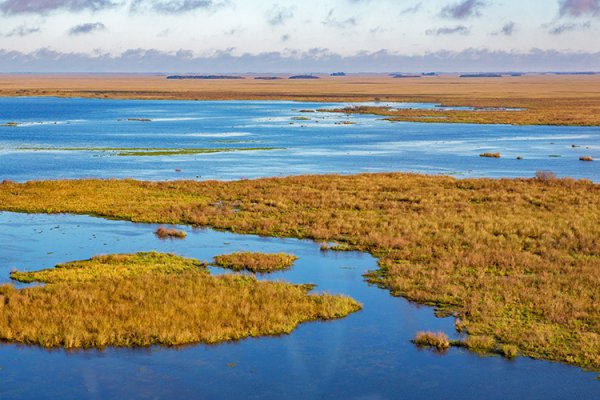 Fin de la pandemia: Parque Nacional Iberá abre desde octubre