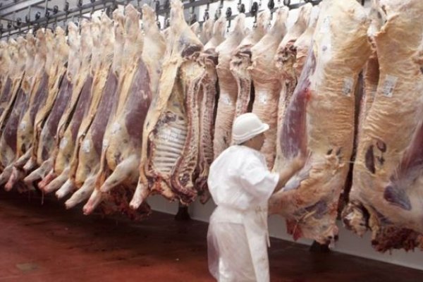 El Gobierno Nacional habilitará las exportaciones de carne a China