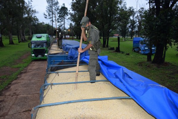 Corrientes: Transportaban 84 toneladas de soja y más de 3 millones de pesos sin documentación