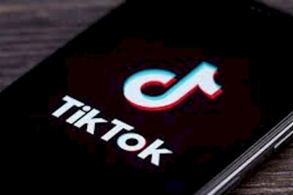 Instaron a Apple y Google a eliminar TikTok de las tiendas de aplicaciones: “China lo puede usar como arma”