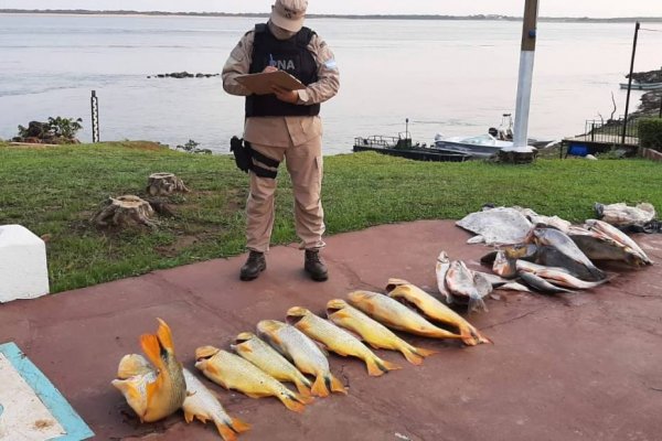 Secuestraron una lancha con 200 kilos de pescados congelados