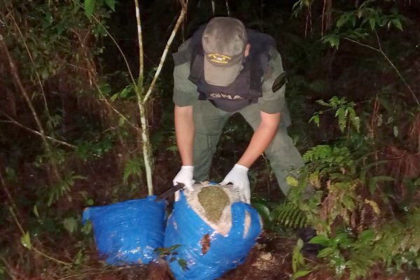 Abandonan bultos con más de 21 kilos de cogollos de marihuana entre la maleza misionera