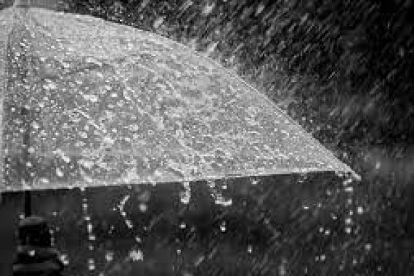 Precipitaciones: Informe especial del Servicio Meteorológico Nacional al COHIFE