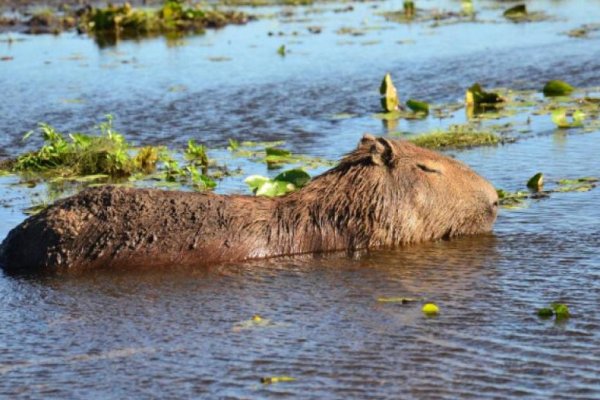 Destinos del Taragüí con altas reservas para el fin de semana