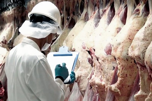 Valdés pidió la apertura total de la exportación de carnes