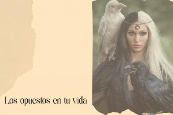 Los opuestos en tu vida