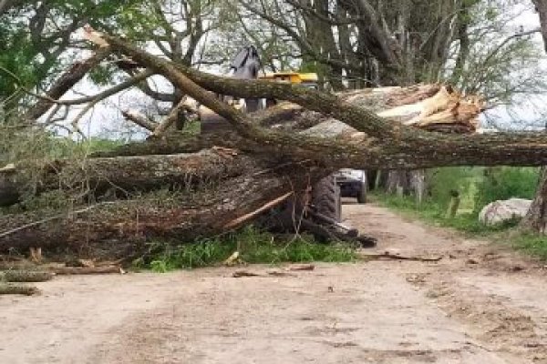 Varias localidades correntinas siguen sin energía tras la tormenta