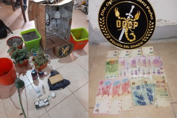 Chaco: estudiante fue detenido con un invernadero de marihuana