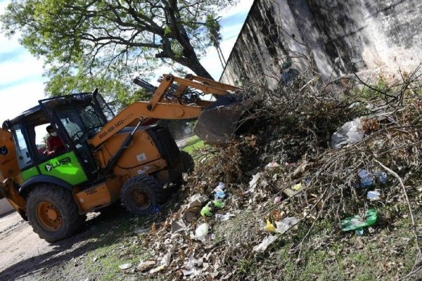 Lucha contra el dengue: El descacharrado llegará esta semana a cinco barrios