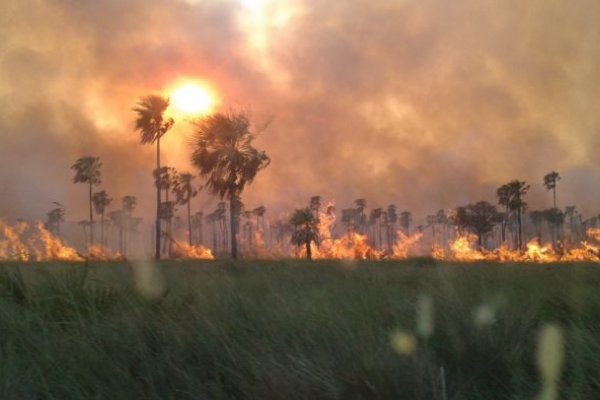 Nueve ciudades de Corrientes en peligro de incendios