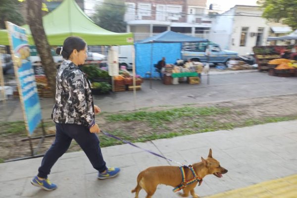 Corrientes: Cómo fue el primer día sin el barbijo obligatorio