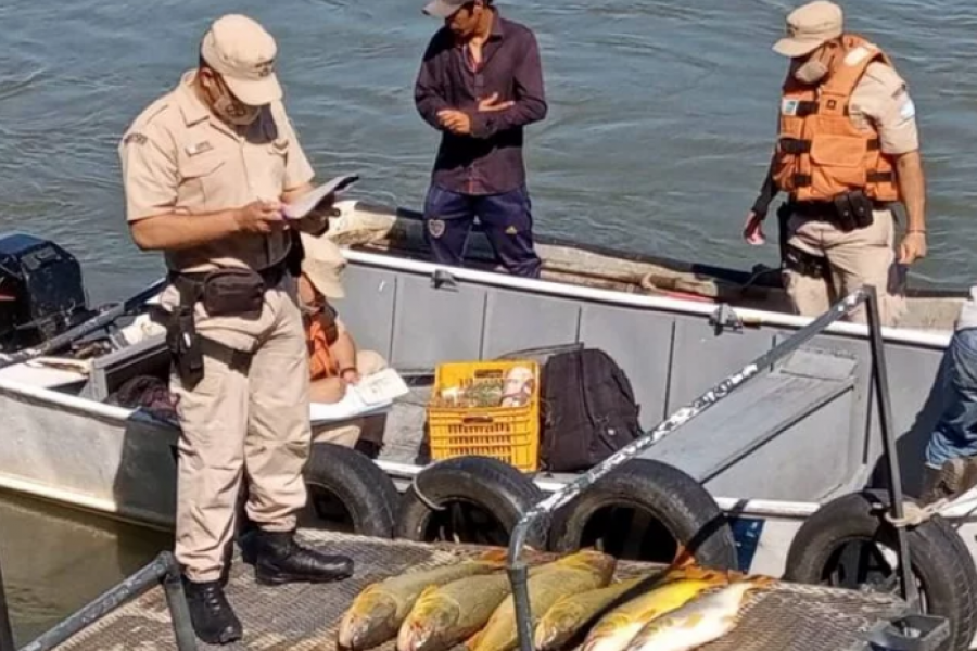 Llevaban unos 35 kilos de dorado y carecían de permisos de pesca