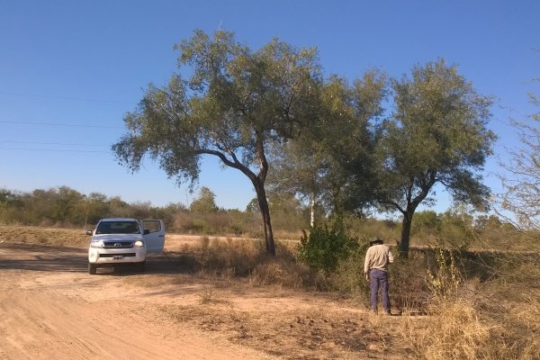 El cambio climático, ¿incidirá en las áreas de distribución del quebracho blanco?