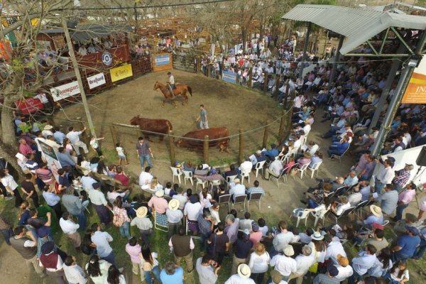 Se viene el evento más importante del sector ganadero