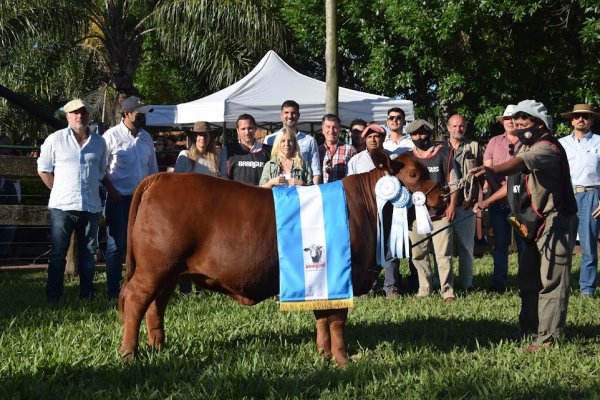 Tras la apertura, continúa hoy la Muestra nacional de Razas