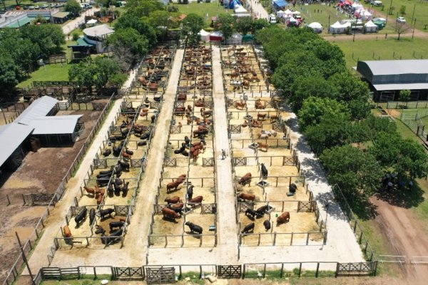 Valdés cortará las cintas de la Exposición Nacional de Razas en la Rural de Corrientes