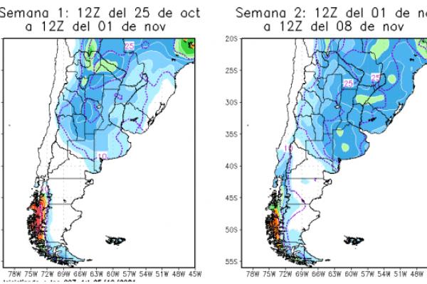 Informe especial con el pronóstico a dos semanas del ICAA