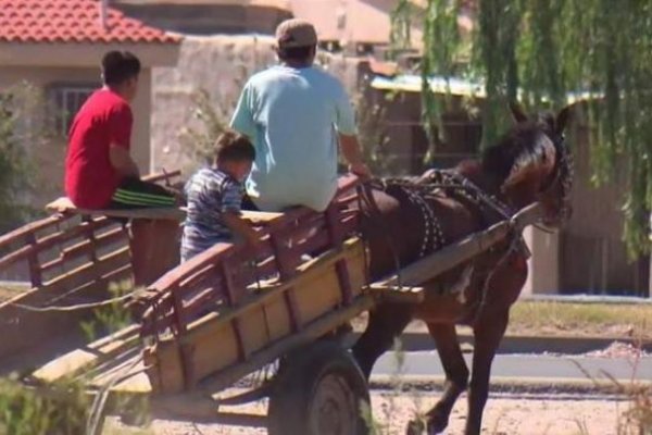 Caso de tracción a sangre provocó ola de críticas y repudio en redes sociales