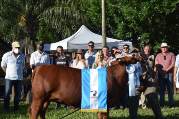 Brangus mostró su gran presente