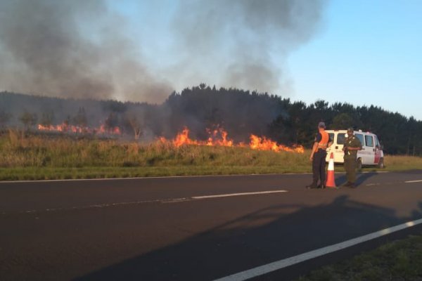 Corrientes: Impactantes imágenes de un nuevo incendio forestal