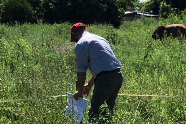 Equipo del ICAA realizará división de lotes en La Palmira