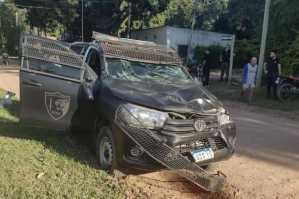 Patrullero atropelló a un caballo en Santa Ana
