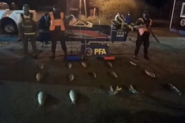 Incautaron 15 bogas e infraccionaron a pescadores en Empedrado