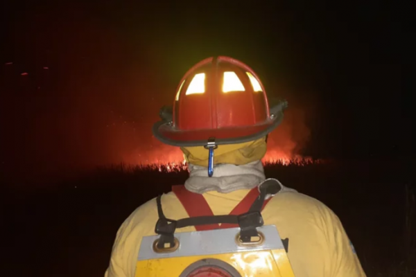 Corrientes perdió 14.506 hectáreas por incendios