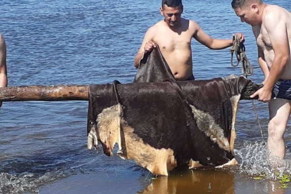 Policías se sumergieron a una laguna para esclarecer un caso de abigeato