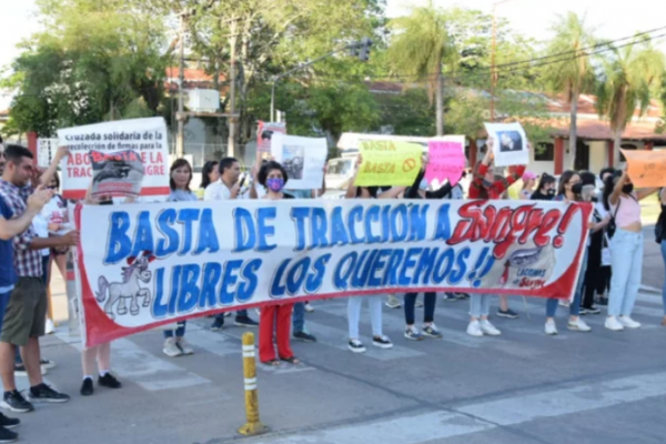 Realizaron una marcha en contra de la tracción a sangre en Corrientes