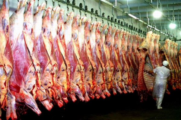 Frigoríficos advierten sobre nueva suba en la carne