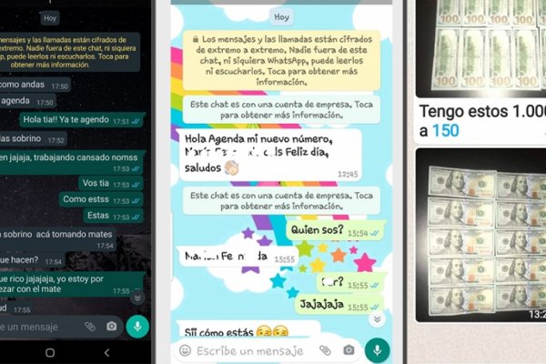 Advierten sobre el robo de cuentas de WhatsApp y la nueva estafa del dólar 