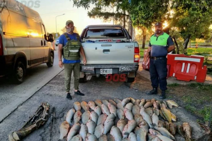 Transportaban 400 kilos de pescado en una camioneta