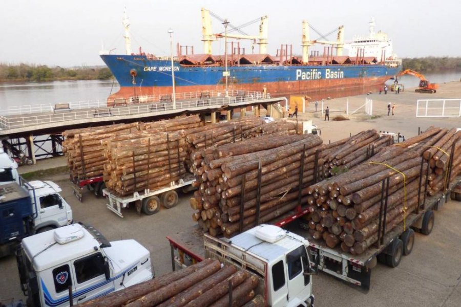 Corrientes y Entre Ríos exportarán 17 mil toneladas de madera de pino a India