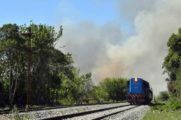 Combaten un incendio en el Parque Nacional Ciervo de los Pantanos