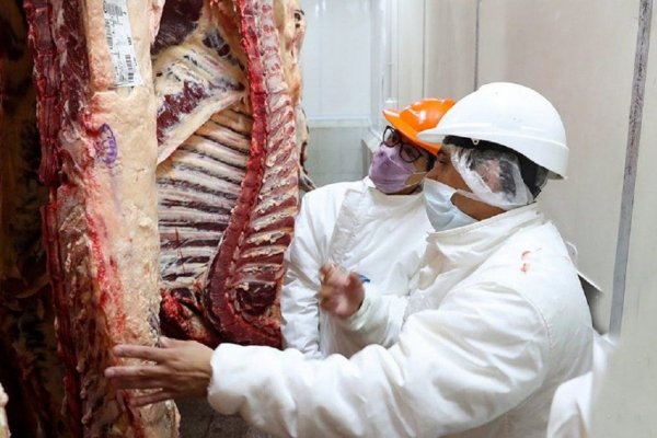 Frigoríficos aseguran que no habrá más aumentos de carne