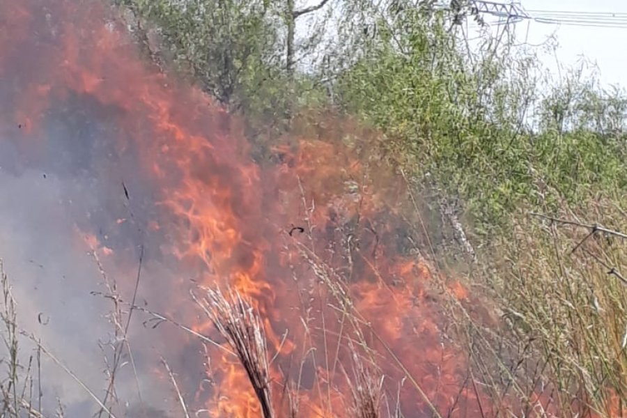 Ituzaingó: Incendio de pastizales casi deja sin luz a toda la comuna