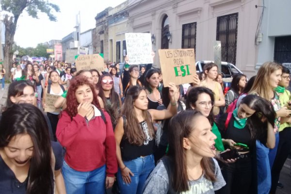 Marcha feminista por el microcentro correntino
