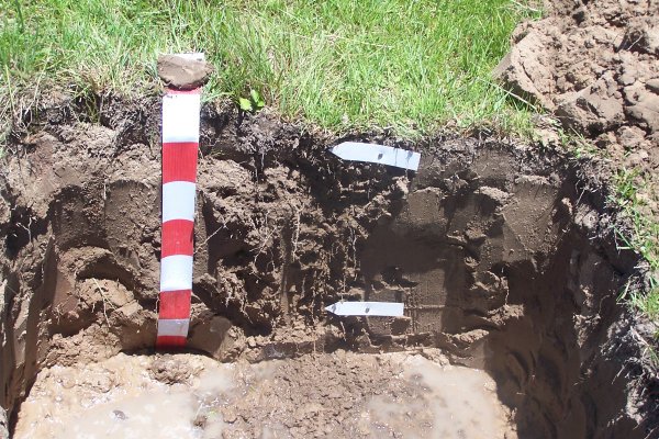 Manejo Holístico, cuando la gestión del pastoreo protege el suelo y aporta a mitigar el cambio climático