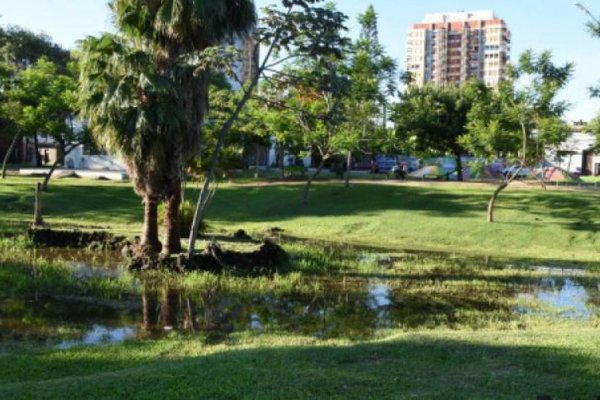 El calor, la lluvia y la humedad, las causas de la invasión de mosquitos