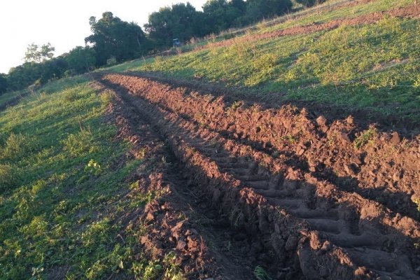 Plan Limón: preparación de suelo y lomos para dos productores de Paso de la Patria