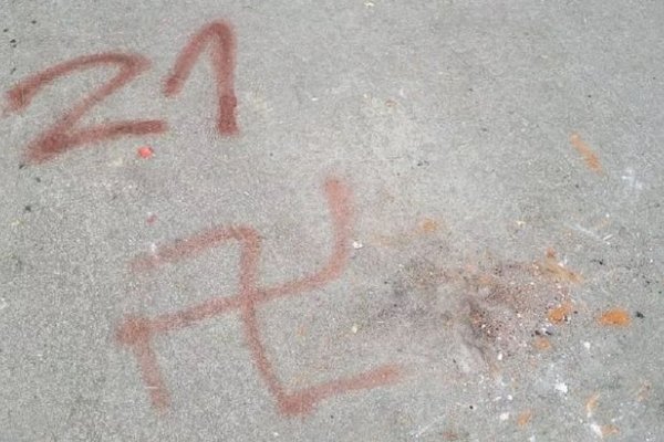 Egresados marplatenses vandalizaron su escuela y hasta pintaron una esvástica