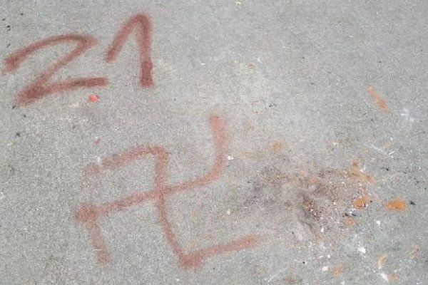 Egresados marplatenses vandalizaron su escuela y hasta pintaron una esvástica