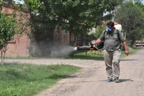 Activan fumigación en vereda y se intensifican cortes de pasto