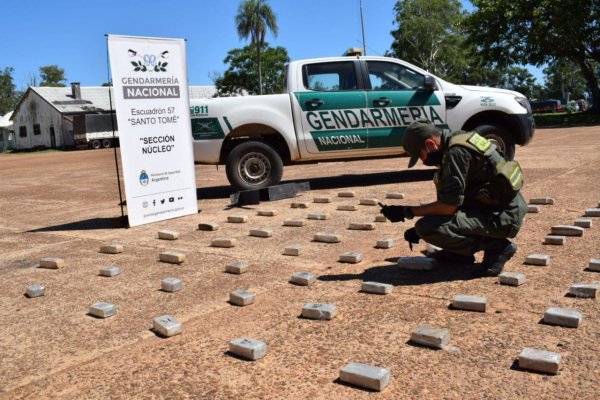 Perro detector de Gendarmería frustró contrabando de marihuana