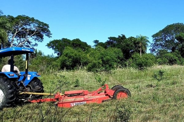 Plan Limón: Se concretaron visitas técnicas y desmalezados en lotes de Ramada Paso y Saladas