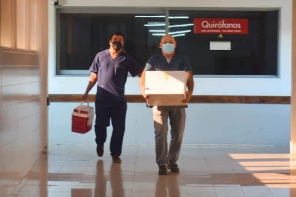 Se realizó un nuevo operativo de ablación en el hospital pediátrico Juan Pablo II