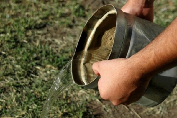 Lucha contra el dengue: Habrá operativo de descacharrado y fumigación en tres barrios