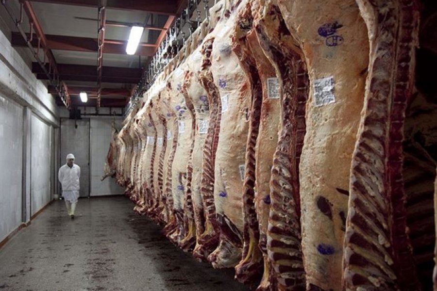 Confirmaron el abastecimiento de carne para el mercado interno